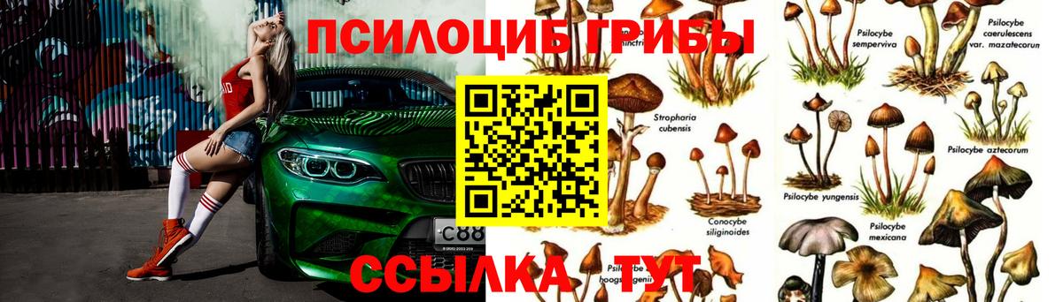 Подольск  Галлюциногенные грибы мухоморы  Псилоцибиновые грибы Magic Shrooms  Вход с VPN 