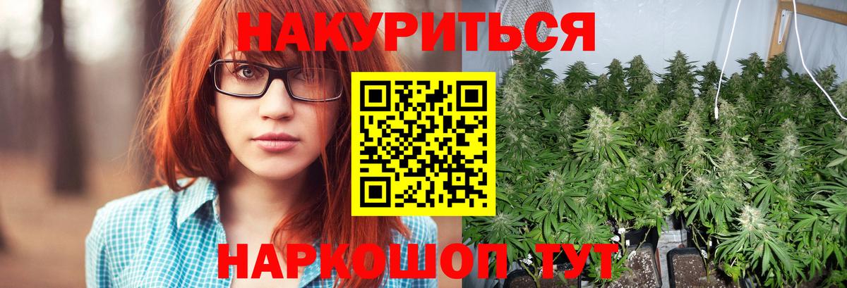 Подольск  МАРИХУАНА сатива  Канабис MAZAR  Вход с VPN 